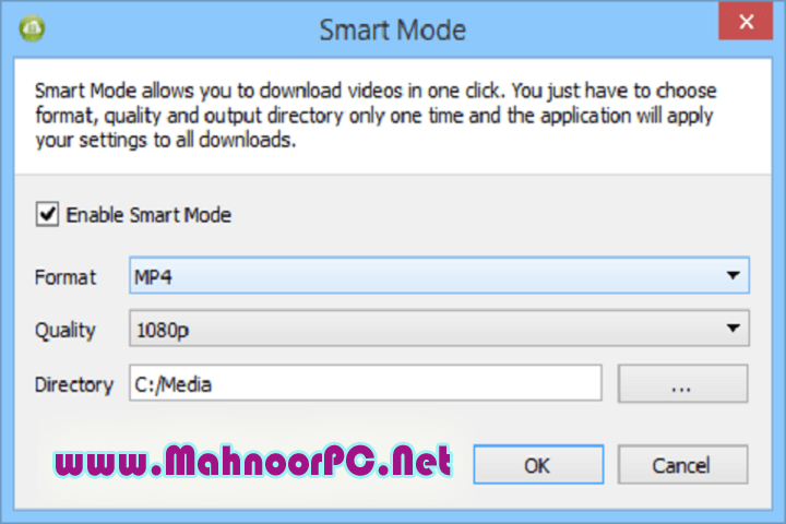 4K Video Downloader 4.30.0.5655 PC Software