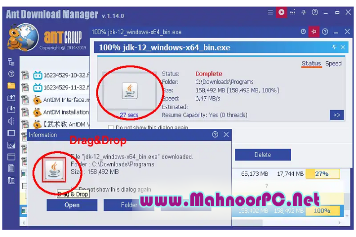 Ant Download Manager Pro 2.12.0.87642 PC Software