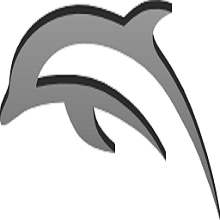 Dolphin v1.0 PC Software