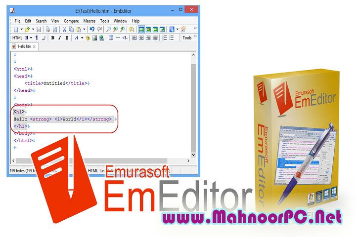 Emurasoft EmEditor Professional 24.1.2 PC Software