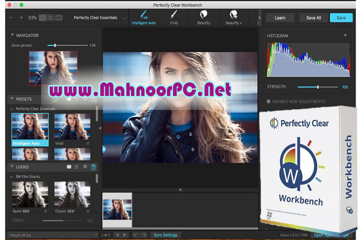 Perfectly Clear WorkBench 4.6.1.2660 PC Software