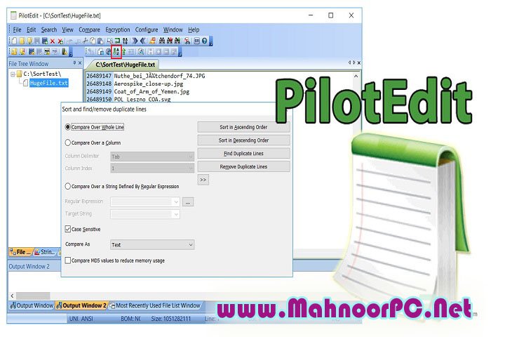 PilotEdit Pro 18.6.0 PC Software