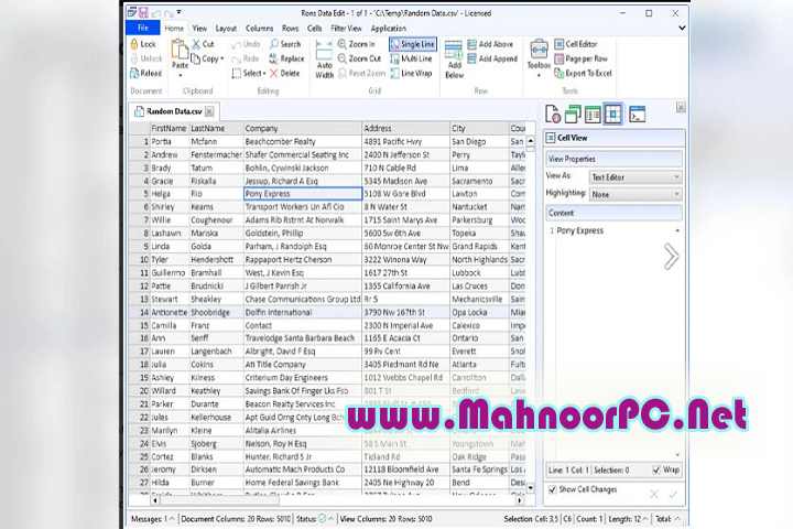 Rons Data Edit Pro 2024.5.15.1304 PC Software