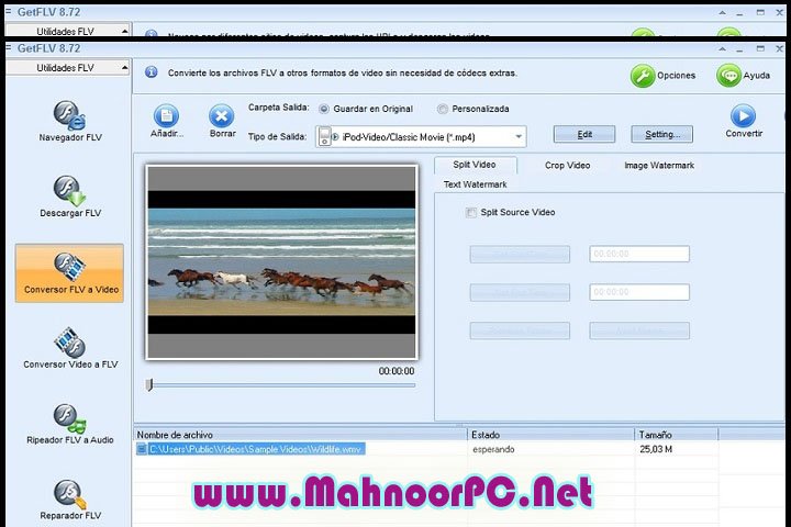 
Vdigger GetFLV 31.2405.10 PC Software
