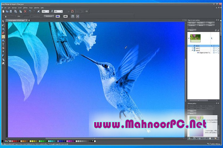 Xara Designer Pro 24.0.0.69219 PC Software