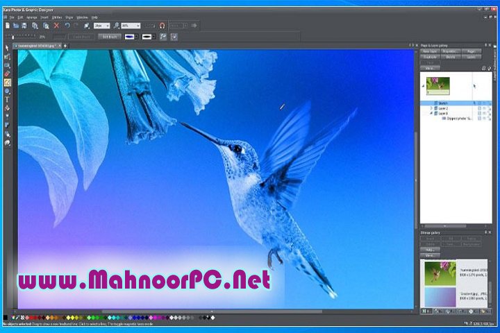 Xara Photo & Graphic Designer 24.0.0.69219 PC Software