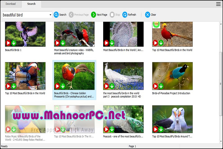 Any Video Downloader Pro 8.8.19 PC Software