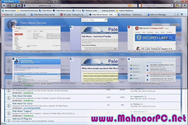 Pale Moon 33.2.0 PC Software