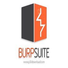 Burp Suite Professional 2024.5.3 PC Software